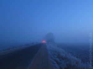 IMG_1481