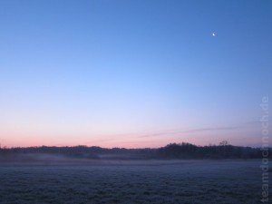 IMG_1482