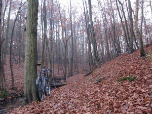 IMG_1491