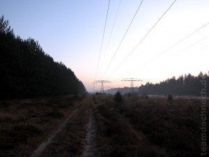 IMG_1493