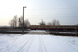 DSC01254